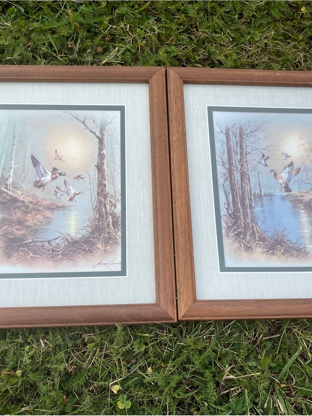 Pair of Framed Duck Marsh Art Prints in Beige and Light Blue